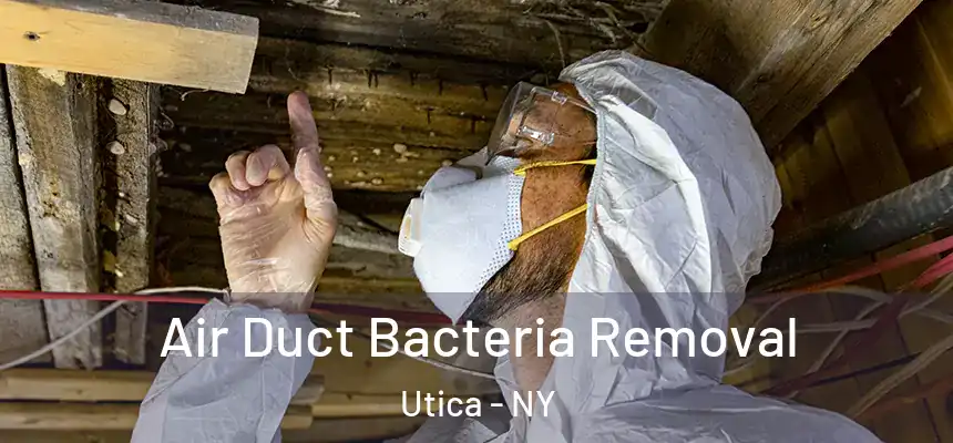 Air Duct Bacteria Removal Utica - NY