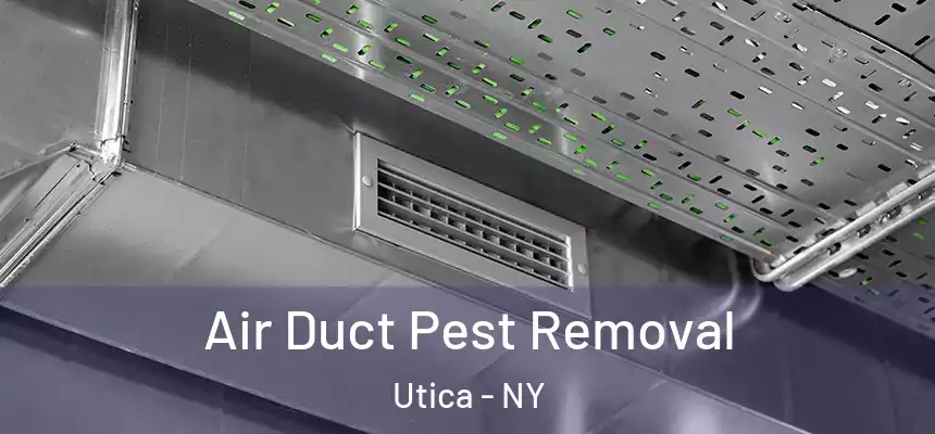 Air Duct Pest Removal Utica - NY