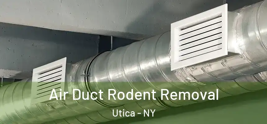 Air Duct Rodent Removal Utica - NY