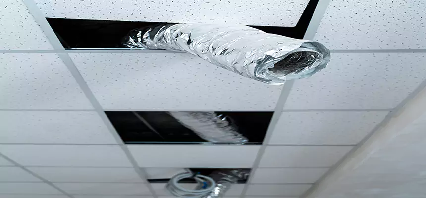 Affordable HVAC Sanitizing After Pest Removal in Utica