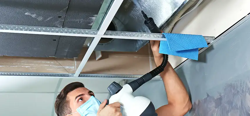Our Air Duct Rodent Removal Services in Utica, NY