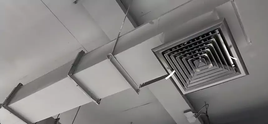 Our Rodent Droppings In Vents Services in Utica, NY