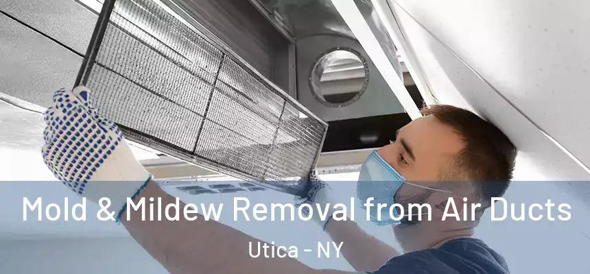  Mold & Mildew Removal from Air Ducts Utica - NY