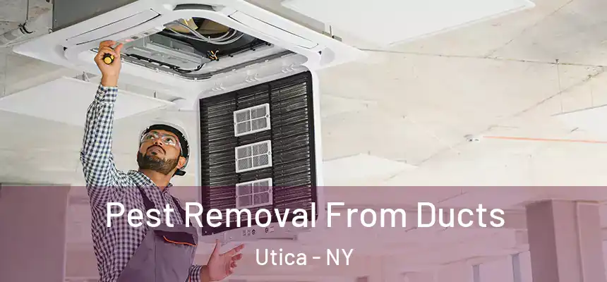Pest Removal From Ducts Utica - NY