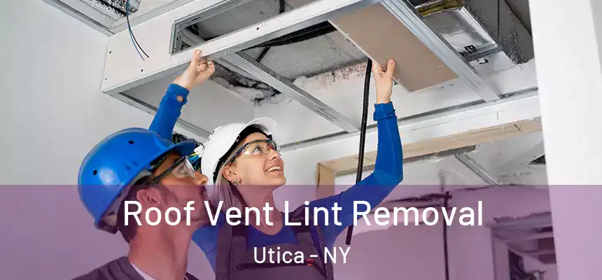 Roof Vent Lint Removal Utica - NY