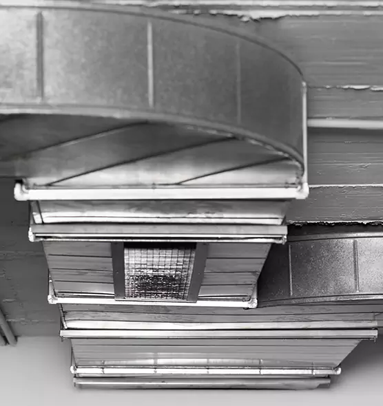 Professional Air Duct Pest Removal in Utica, NY