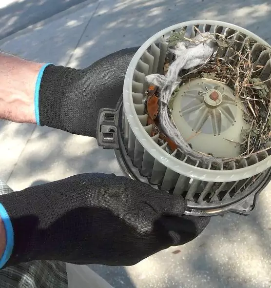 About Air Duct Rat Removal in Utica, NY