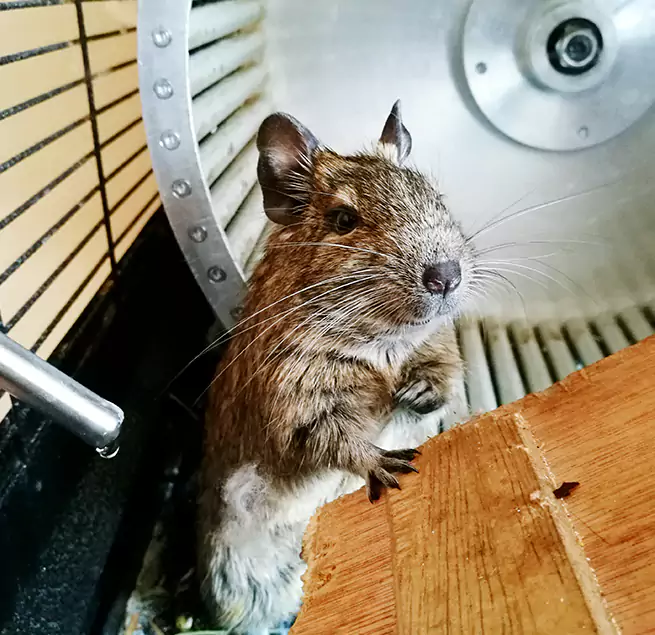 Why Homeowners & Businesses Trust Us Utica, NY