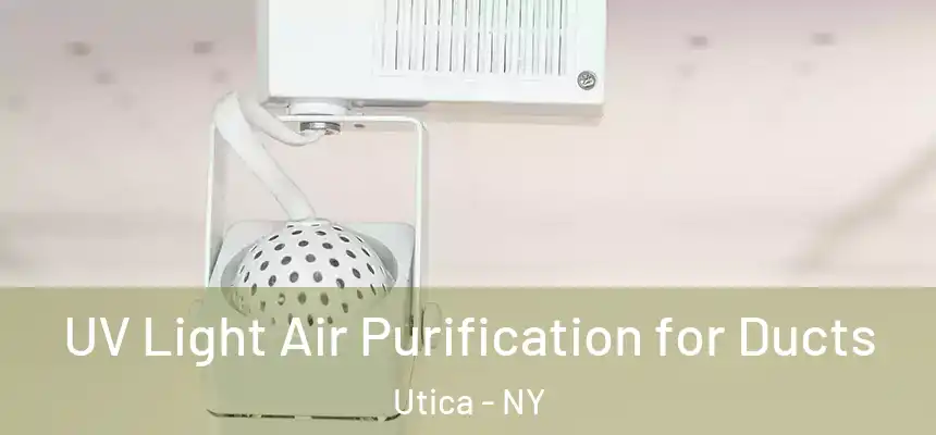  UV Light Air Purification for Ducts Utica - NY